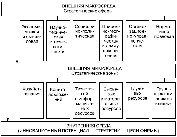 Структура внешней среды организации