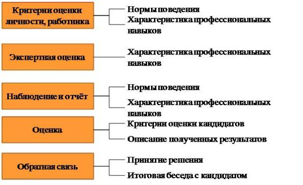  Схема кадрового планирования