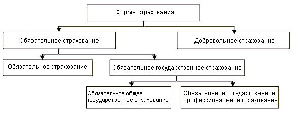 Рис. 14.5. Формы страхования