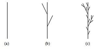  Дерево. Итерация (a) 0; (b) 1; (c) 2