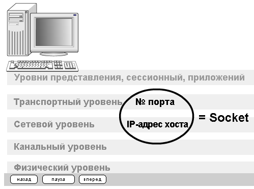 Сокет это № порта + IP адрес хоста