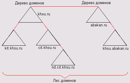 Один лес, который содержит два дерева доменов