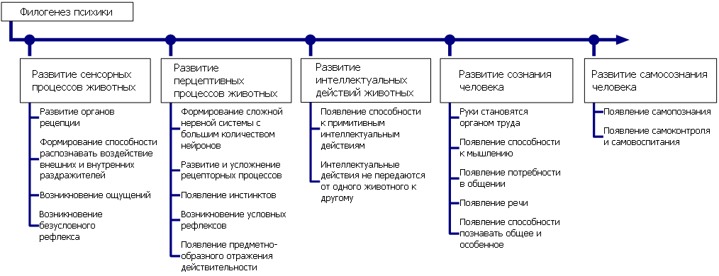 Реферат: Основные этапы развития психики животных