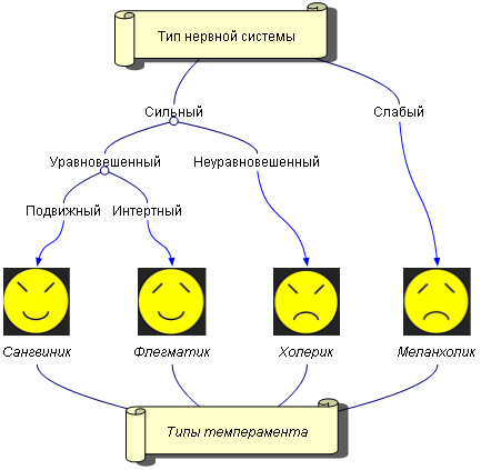 Доклад по теме Общее понятие о темпераменте и его типах