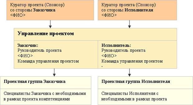 Пример организационной схемы проекта