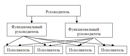  Функциональная структура управления 