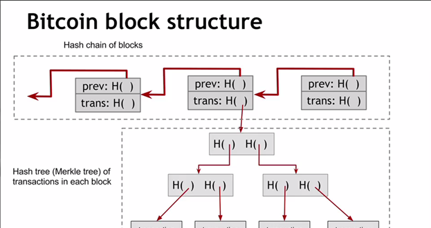 Структура блока Биткоина