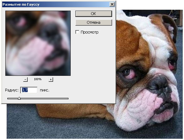 Размытие по гауссу в фотошопе