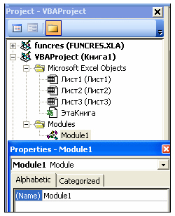 Окно свойств объекта Module1