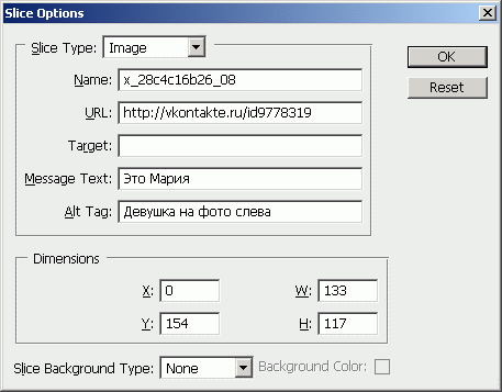 Вид окна Slice Options (Параметры фрагмента)