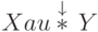 X a u \ovs{\ast}{\downarrow} \, Y