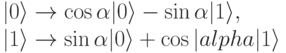 |0\rangle  \to \cos \alpha |0\rangle -\sin \alpha |1\rangle ,\\
|1\rangle  \to \sin \alpha |0\rangle  +\cos |alpha |1\rangle 