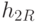 h_{2R}
