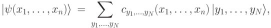 |\psi(x_1,\dots,x_n)\rangle\ =\ \sum_{y_1,\dots,y_N} c_{y_1,\dots,y_N}(x_1,\dots,x_n)\, |y_1,\dots,y_N\rangle,