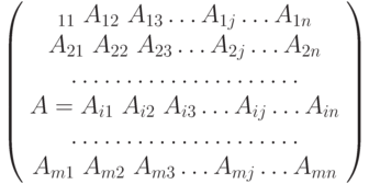 \left(\begin{array}  A_{11}\text{ }A_{12}\text{ }A_{13} … A_{1j} … A_{1n}\\
A_{21}\text{ }A_{22}\text{ }A_{23} … A_{2j} … A_{2n}\\
  … … … … … … …    \\          
A = A_{i1}\text{ }A_{i2}\text{ }A_{i3} … A_{ij} … A_{in}\\
  … … … … … … …\\
A_{m1}\text{ }A_{m2}\text{ }A_{m3} … A_{mj} … A_{mn}
\end{array} \right)