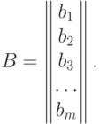 B=
  \begin{Vmatrix}
  b_1 \\
  b_2 \\
  b_3 \\
  \dotsc \\
  b_m
  \end{Vmatrix}.