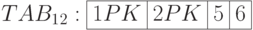 TAB_1_2: \begin{array}{|c|c|c|c|} \hline 1 PK & 2 PK & 5 & 6 \\ \hline \end{array}