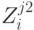 Z_i ^{j2} 