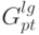 G^{lg}_{pt}