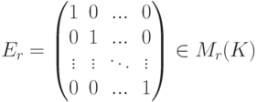 E_r =
\begin{pmatrix}
1 & 0 & ... & 0\\
0 & 1 & ... & 0\\
\vdots & \vdots & \ddots & \vdots\\
0 & 0 & ... & 1
\end{pmatrix} \in M_r(K)