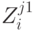 Z_{i}^{j1}