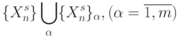 \{ X_n^s \}\bigcup_{\alpha}\{X_n^s\}_{\alpha}, (\alpha=\overline{1,m})