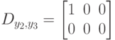 D_{y_2, y_3}=
\left [
\begin {matrix}
1&0&0\\
0&0&0
\end {matrix}
\right ]