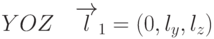 YOZ \quad \overrightarrow{l}_1=(0,l_y,l_z)