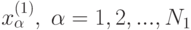 x_{\alpha}^{(1)}, \; \alpha=1,2,...,N_1